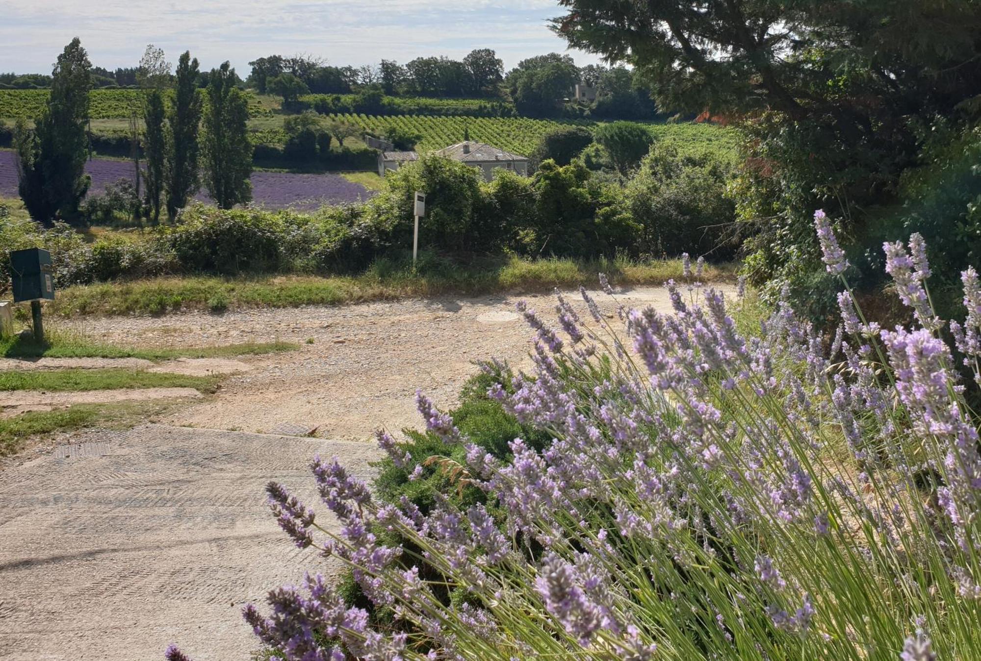 Le Clos Du Grand Chene - Gites 4 Etoiles - Saint-Marcel-d'Ardeche Buitenkant foto